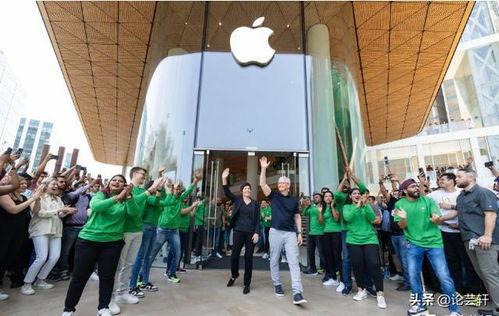 中国政府最新爆料,重大政策调整与未来发展动向”