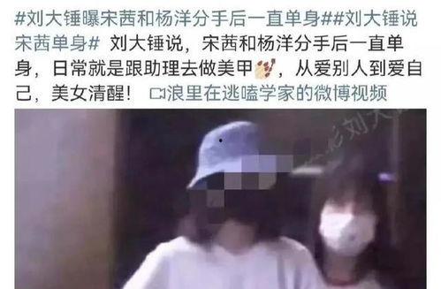 刘大锤最新爆料杨洋视频,杨洋最新视频幕后揭秘